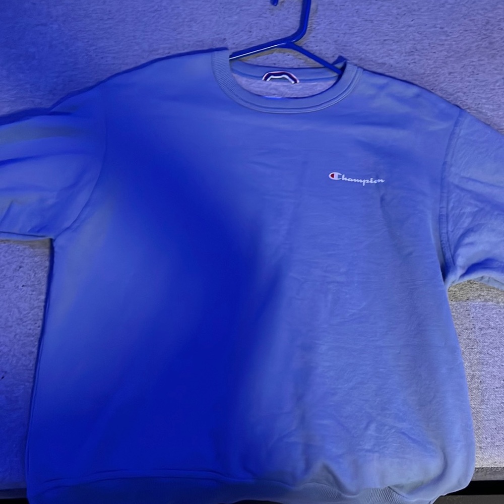 Champion Light blue sweater (Authentic Athleticwear)